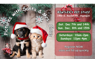 Pictures with Santa & Mrs. Claus – Dec. 7 & 8 and Dec. 14 & 15, 2024