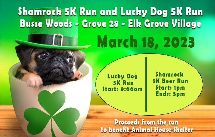 Lucky Clover 5K Ohio – Hangdog Running