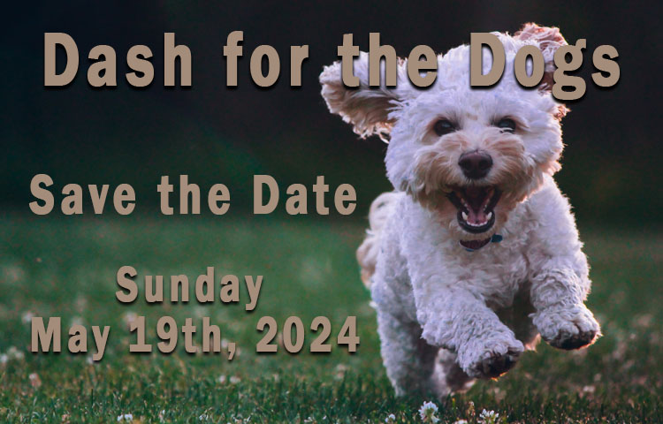 Dash Save The Date 2024 Feature V1 