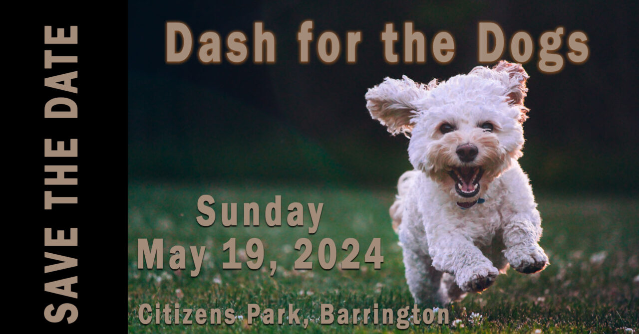 Dash for the Dogs 5K Run or Walk Animal House Shelter
