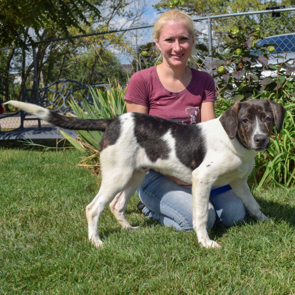 Gilbert - Animal House Shelter