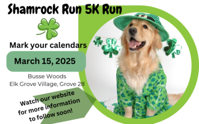 Shamrock 5K Run & Lucky Dog 5K Run  – March 15, 2025