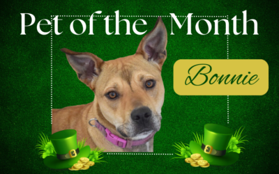 March 2025 Pet of the Month